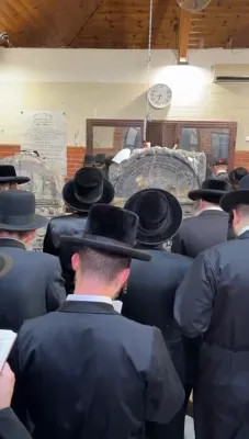 מסע התומכים בראשות גאב"ד סאטמאר מאנסי שליט"א 