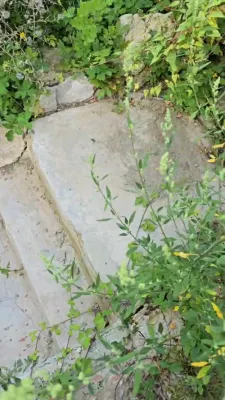 עקסקלוסיוו: א רייזע קיין אייראפע מיט ר' עזרא פרידלענדער - דריטע טאג