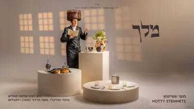 ניגונים פון "אמונה בטחון" - מאטי שטיינמעץ