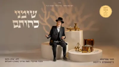 ניגונים פון "אמונה בטחון" - מאטי שטיינמעץ