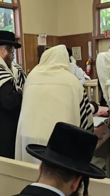 פרישע בילדער פון ניקלשבורג 