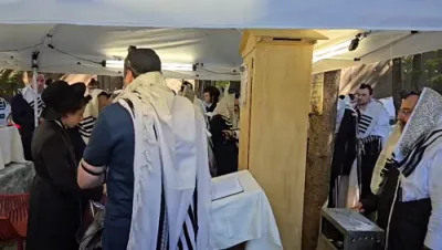 פרישע בילדער פון ניקלשבורג 