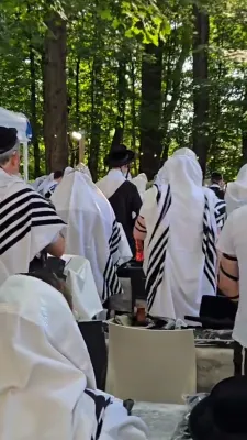 ניקלשבורג אקטיוויטעטן 