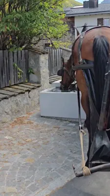 עקסקלוסיוו: א רייזע קיין אייראפע מיט ר' עזרא פרידלענדער - חלק 7