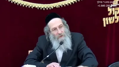 א מינוט מיט ר' מיילך שליט"א-ערש"ק פרשת שפטים ה' אלול תשפ"ה