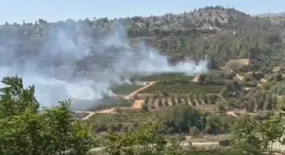 וואלד פייער נעבן ירושלים ברענגט כאאס אין דער הויפטשטאט.