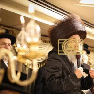 הרה"צ ר' אלימלך בידערמאן שליט"א - פרשת כי תצא