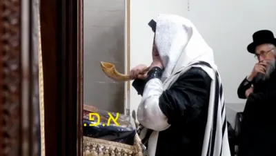 כ"ק אדמו"ר מצאנז שליט"א ביי תקיעת שופר נאכן דאווענען 
