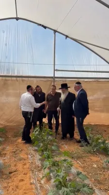 הרה"ג ר' פנחס פאדווא שליט"א גאב"ד קהילת שומרי הדת אין אנטווערפן און רב דמערכת הכשרות המהודרת חוג חתם סופר פתח תקוה ביי א באזוך אין ארה"ק צו מיטהאלטן די השגחה און הידורים פון די נאנט