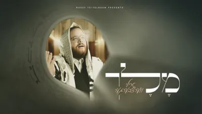 מלך - זרילי ווערצבערגער