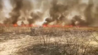 נעמביע ברענגט אריין זייער ארמיי צו אויסלעשן די וואלד פייערן