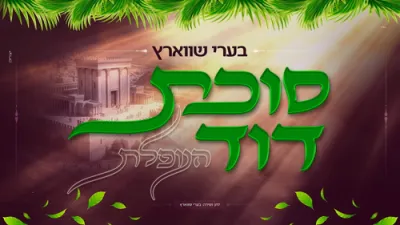 "סוכת דוד"