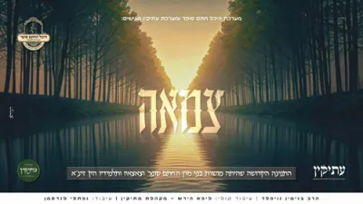 צמאה נפשי למרן החתם סופר זי"ע - בנימין נויפלד - מקהלת מתיקין