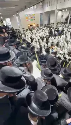 הושענא רבה בחצר הקודש סאטמאר אין וויליאמסבורג