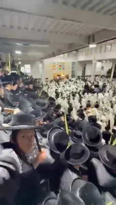הושענא רבה בחצר הקודש סאטמאר אין וויליאמסבורג