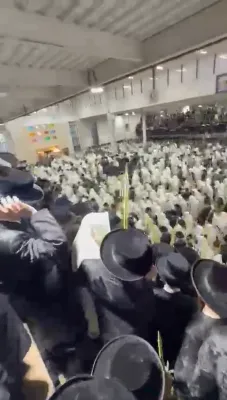 הושענא רבה בחצר הקודש סאטמאר אין וויליאמסבורג