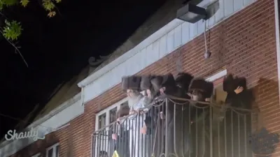 פולע געלאריע: בילדער און ווידיאוס פון נעילת החג און באגלייטן מוצאי סוכות בחצר הקודש סאטמאר 