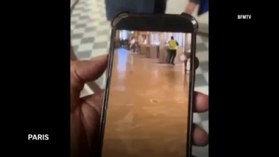 ווידיאו פון די היסטארישע גניבה אין די פראנצויזישע מוזיעם 