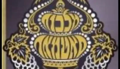 מצוה טאנץ פון כ"ק אדמו"ר מסאטמאר שליט"א ביים שמחת החתונה פון א אייניקל 