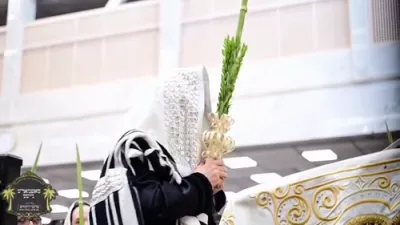  נענועים חוה"מ ביי כ"ק אדמו"ר מסאטמאר שליט"א 