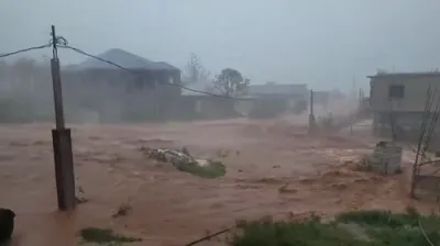 דזשעמעיקע ליידט געפערליך פון האריקעין מאליסע