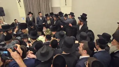 קינדער פון כ"ק האדמורי"ם מצאנז און וויזניץ שליט"א ביי א שמחת החתונה 