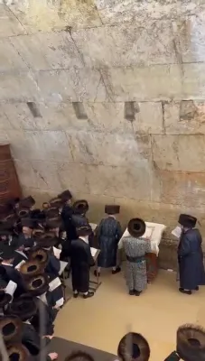 כ"ק אדמו"ר מצאנז שליט"א ביי תפילת מעריב ביי כותל המערבי נאך שבת אין אלט שטאט מיט נגידי המוסדות