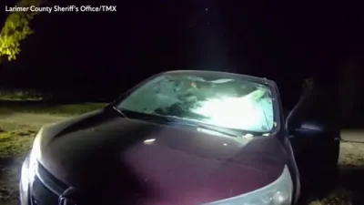 א בער מאכט חרוב א קאר פון אינעווייניג נאכן בלייבן פארשפארט