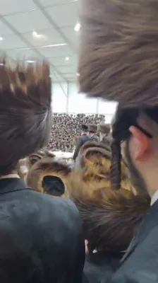 נאך בילדער און ווידיאוס פון שלש סעודות ביי כ"ק אדמו"ר מסאטמאר שליט"א אין מירון