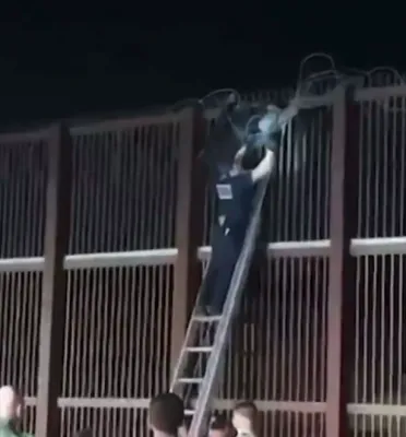 גרעניץ וועכטער האבן געראטעוועט א אומלעגאלע אימיגראנט ביים איבערקריכן די וואנט און אנגעכאפט א ווייער