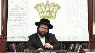 זאג דו האסט נישט וואס צו רעדן? מפלאקערט אין גהינום פארן עסן פיצא?