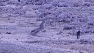 א מענטש ווערט קאנפראנטירט דורך א בער