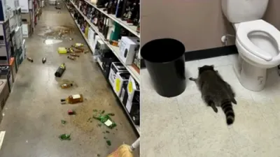 א ראקון האט זיך געלייגט שלאפן אין א בית הכסא נאכן איבערדרייען א געשעפט אין ווירדזשיניע 