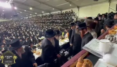 פולע ווידיאוס פון כ"א כסליו בחצר הקודש סאטמאר 