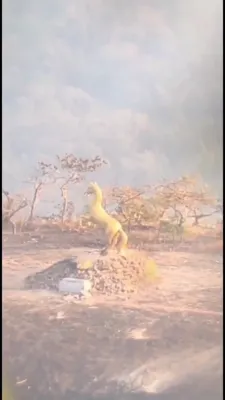 טיילאנדע סאלדאטן שיסן אראפ א קאמבאדיא'נע מאנומענט