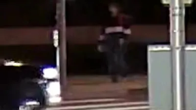 ניק ריינער ביים זיך אונטערגעבן צו די פאליציי אין לאס אנדזשעלעס 