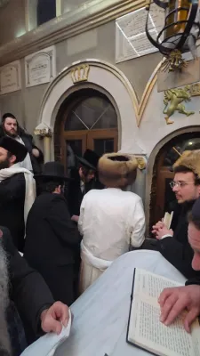 פולע גאלעריע פון שבת חנוכה אין אומן ביי כ"ק אדמו"ר מתורת חכם שליט"א 