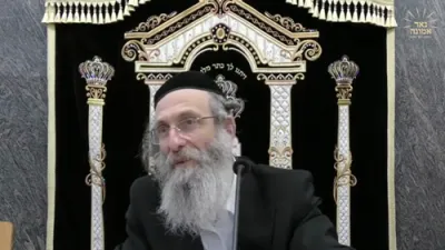 די כח פון יעדע איד שובבי"ם!! | הרה"צ רבי אלימלך בידערמאן שליט"א 