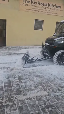 מ'שארט די שניי אין קערעסטיר