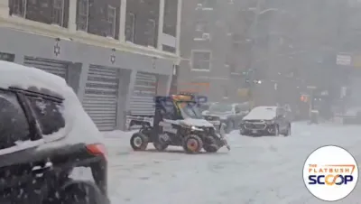 1 אזייגער צופרי: שניי שטורעם אפדעיט.