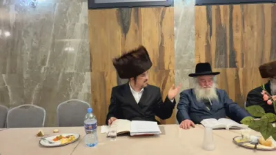 הערליכע שמועס דורך הרה"ג הרב אליהו שווארץ שליט"א איבער די שטארקע פעולות פונעם הייליגן רבי ר' מענדעל'ע מרימנוב זי"ע צו מרבה זיין פרנסה פאר איד'ס וועגן