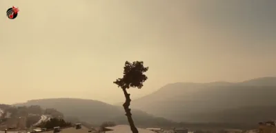 צדיק כתמר יפרח - יהודה וויינבערג