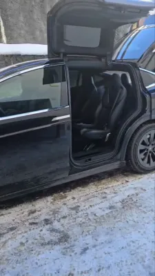 עזרא פרידלענדער 