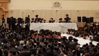 מלוה מלכה בצל כ"ק אדמו"ר מוויזניץ שליט"א 