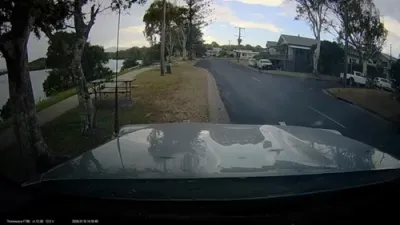 א בליץ פארנט פון א פאליס קאר