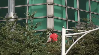 אלעקס עאנאלד קריכט אויף טייוואן'ס העכסטע געביי