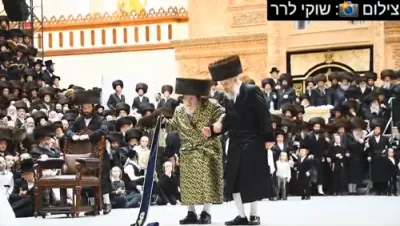 שמחת החתונה בחצר הקודש וויזניץ 