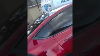 פלארידע פאליציי ראטעווען הירש וואס איז ארײנגעפאלן אין א הויז.