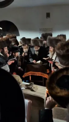 כ"ק אדמו"ר מתולדות יהודה סטוטשין שליט"א ביים ציון פון הייליגן ראפשיצער רב זי"ע און ביי ריקודין קדשין