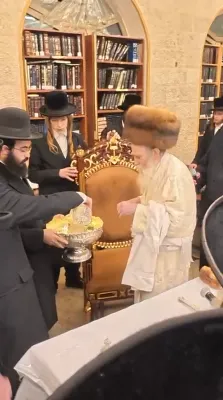 חמשה עשר בשבט בחצר הקודש תורת חכם 